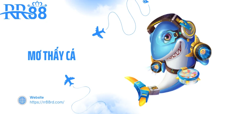 Mơ Thấy Cá - Con Số May Mắn Khi Chiêm Bao Thấy Cá